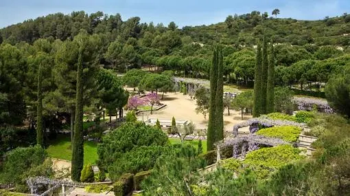 Cuando la tumba es un árbol: el cementerio más ecológico de España