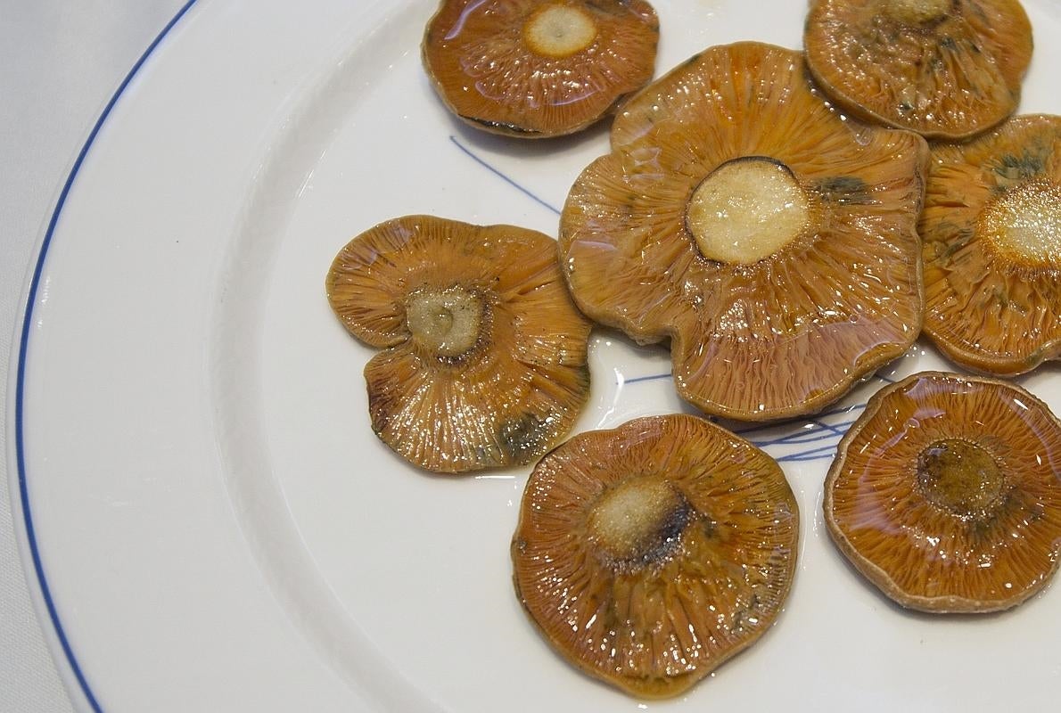 Níscalos a la plancha en el restaurante María Luisa, en Mdrid