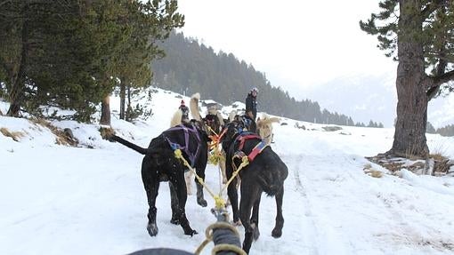 Todo lo que debes saber si quieres ir a Andorra