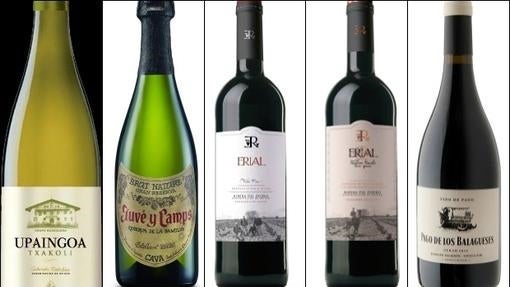 Upaingoa, Juvé y Camps, Erial, Erial TF y Pago Balagueses Syrah