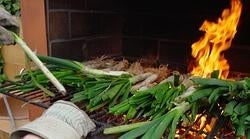 Las mejores direcciones para comer calçots