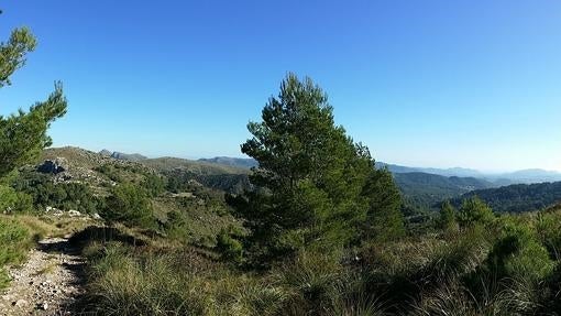 Uno de los lagos subterráneos más grandes del mundo y otros 1o planes de invierno en Baleares