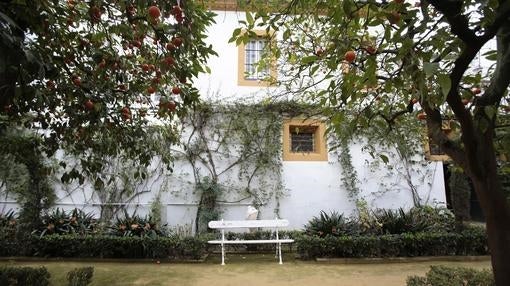 Así es el Palacio de Las Dueñas, la residencia sevillana de los duques de Alba