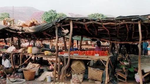 Mercado tradicional de Zambia