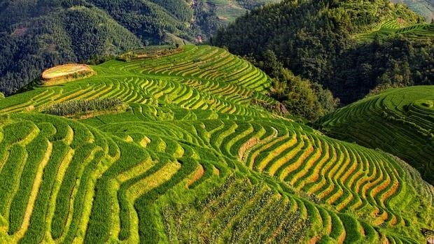 La belleza de los «campos colgantes»