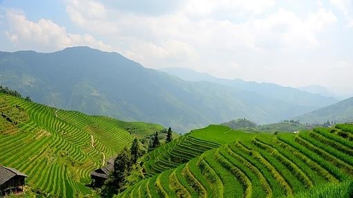 La belleza de los «campos colgantes»