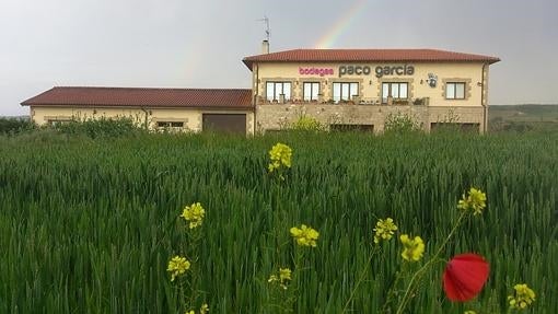 Diez de las mejores bodegas de La Rioja para un gran día de enoturismo