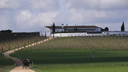 Tres propuestas para perderse por el Alentejo portugués