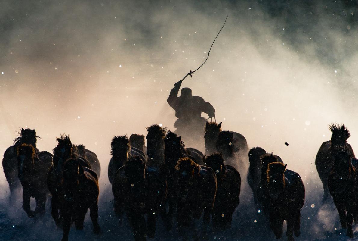 Winter Horseman, la fotoganadora en todas las categorías en la edición de 2016