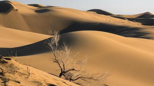 Dunas del desierto de Lut