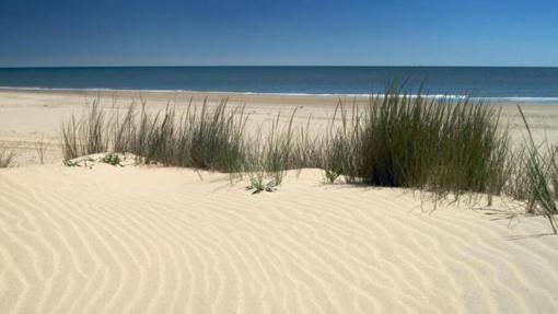 Playa de Doñana