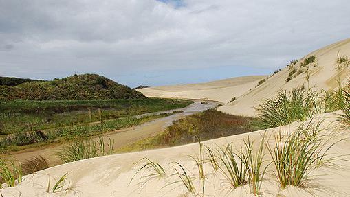 Playa de las noventa millas