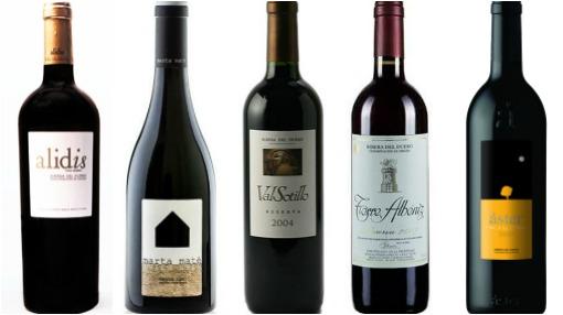 De izquierda a derecha, Alidis Reserva, Marta Maté, Val Sotillo Reserva, Torre Albéniz, Aster Finca El Otero