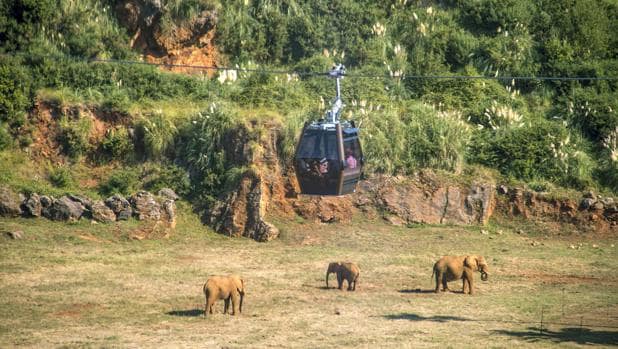 La telecabina puesta en marcha en el Parque de la Naturaleza de Cabárceno, en la zona de los elefantes