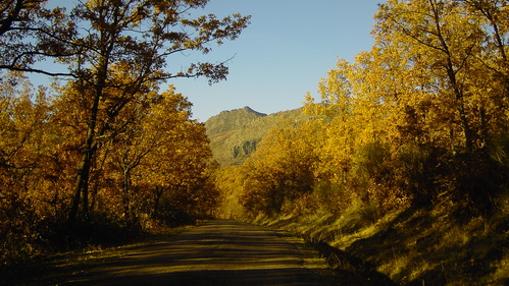 Planes de otoño para el Puente del Pilar