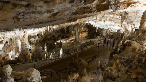 Postojna, la cueva donde viven las «crías de dragón»