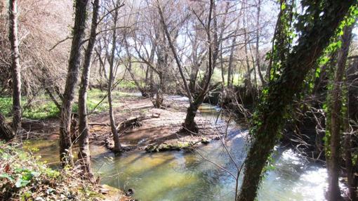 Parque Natural de la Sierra Norte. Fuente: andalucia.org