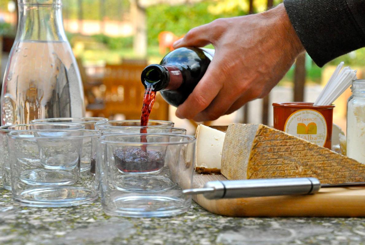 Las mejores rutas guiadas de España para amantes del vino
