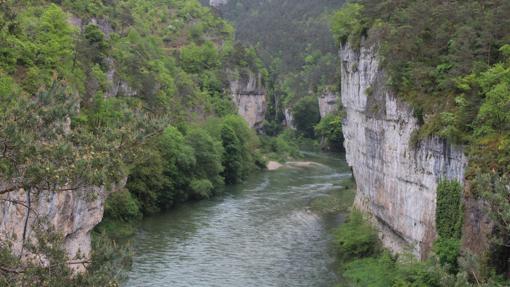 Un rincón de las gargantas del Tarn