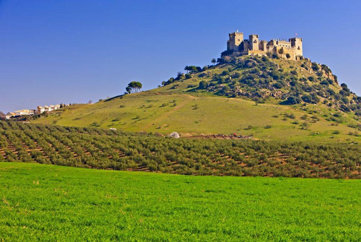 Vista del castillo de Almodóvar del Río