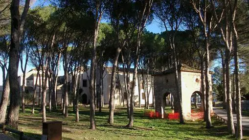 Los pinos abrazan el monasterio de Corpus Cristi