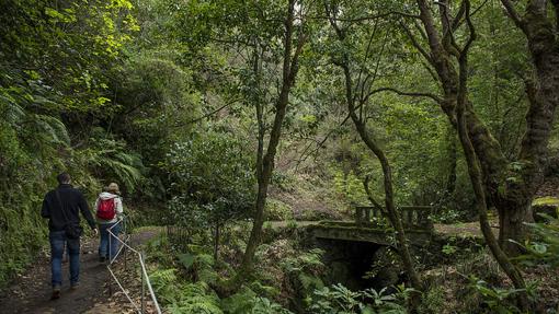 Levada dos Balções, una de las múltiples sendas que recorren los bosques de Madeira