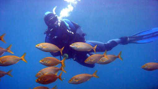 Buceo en Almería. Fuente: andalucia.org