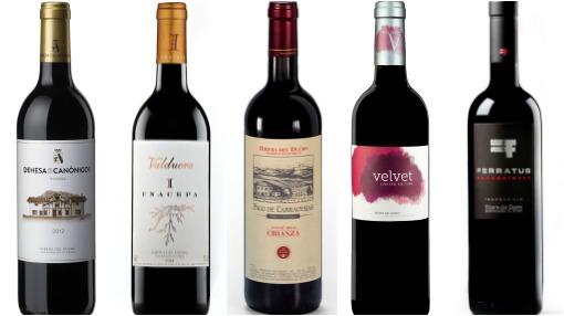 De izquierda a derecha, Dehesa de los Canónigos, Valduero I Cepa, Pago de Carraovejas Crianza, Velvet y Ferratus Sensaciones