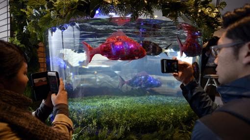 Una pareja fotografía peces-robot en el vestíbulo del nuevo «Henn na Hotel Maihama Tokyo Bay»
