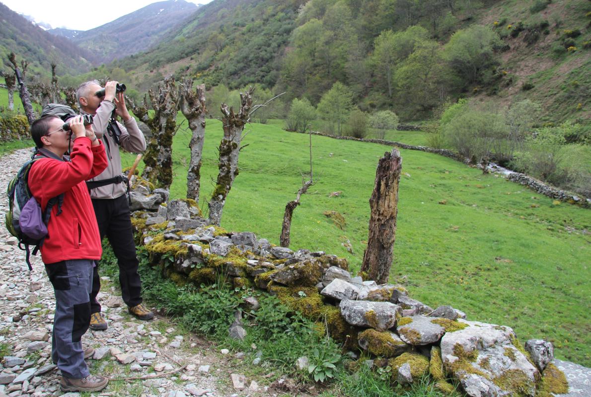 Cinco tesoros del paraíso natural de Asturias