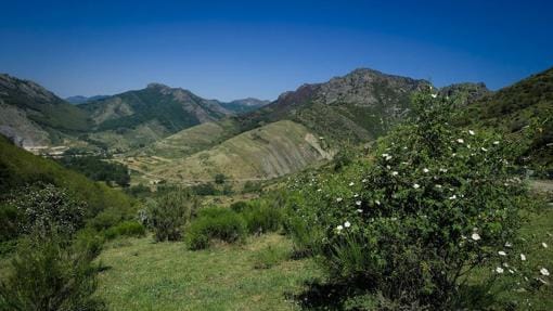 La Unesco declaró en 2005 la Reserva de la Biosfera Alto Bernesga