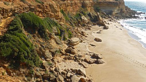 Diez calas de Cádiz perfectas para pasar el verano