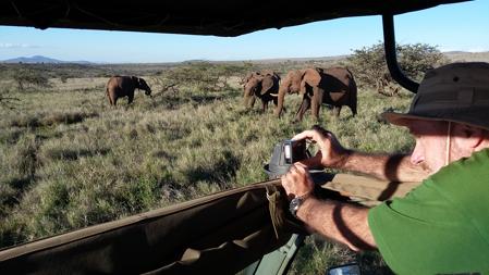 Observación de elefantes en Lewa