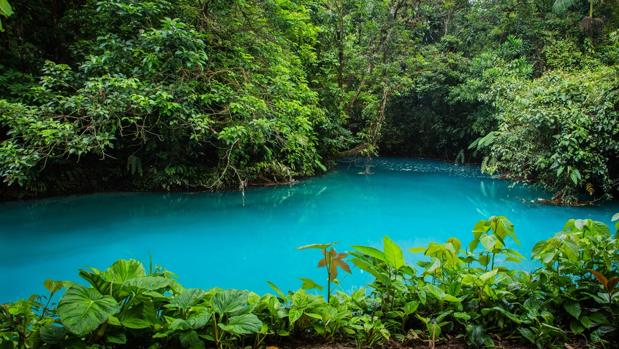 El secreto del río Celeste de Costa Rica