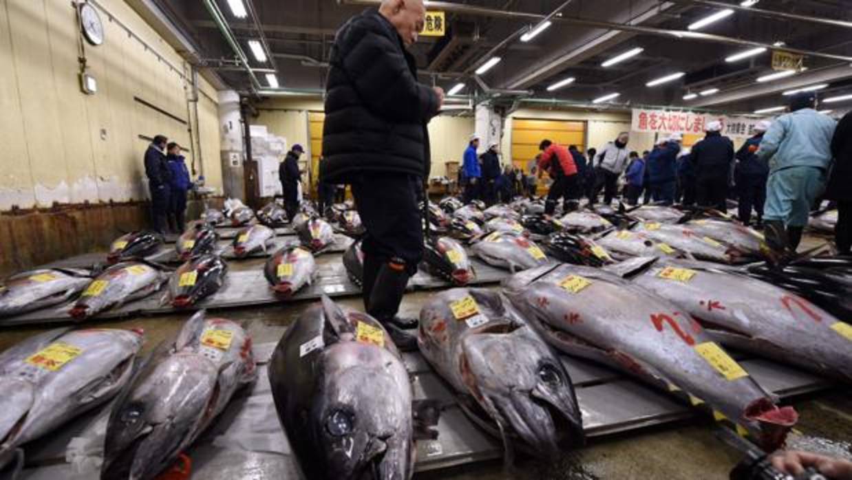 Mercado de pescado de Tsukiji, el más grande del mundo, en Tokio