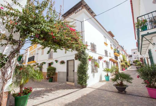 Las calles de Estepona, convertidas en un jardín