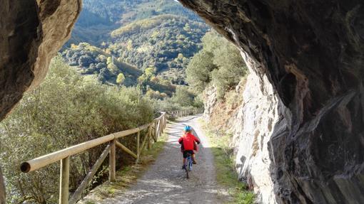 Paisaje en un punto de la Senda del Oso, en Asturias