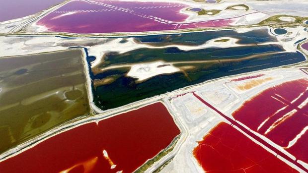 El espectáculo cromático del lago salado chino