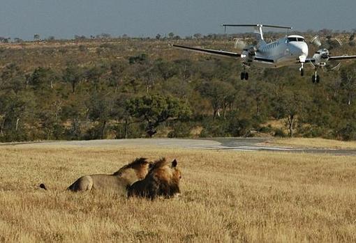 Los aeropuertos más impresionantes del mundo