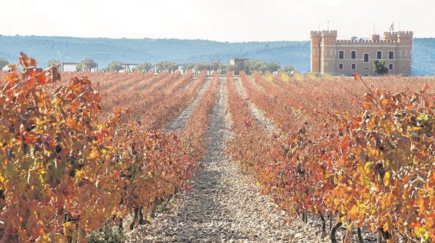 Cómo explotar el enoturismo a orillas del Duero