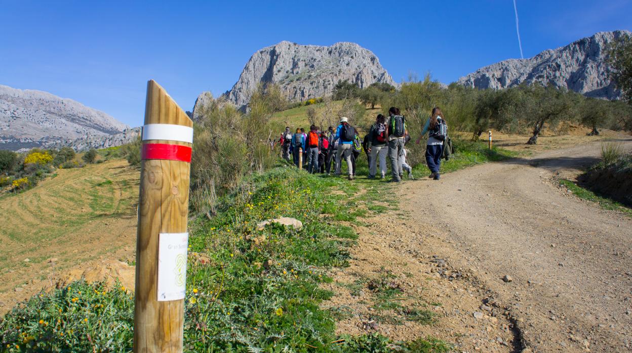 Un tramo de la Gran Senda de Málaga a la altura de Alfarnate, en la comarca de la Axarquía