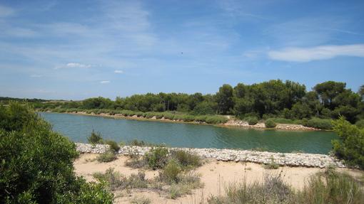 La Albufera en Valencia