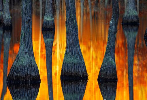 Mejor fotografía de Paisaje del Año de Paul Marcellini