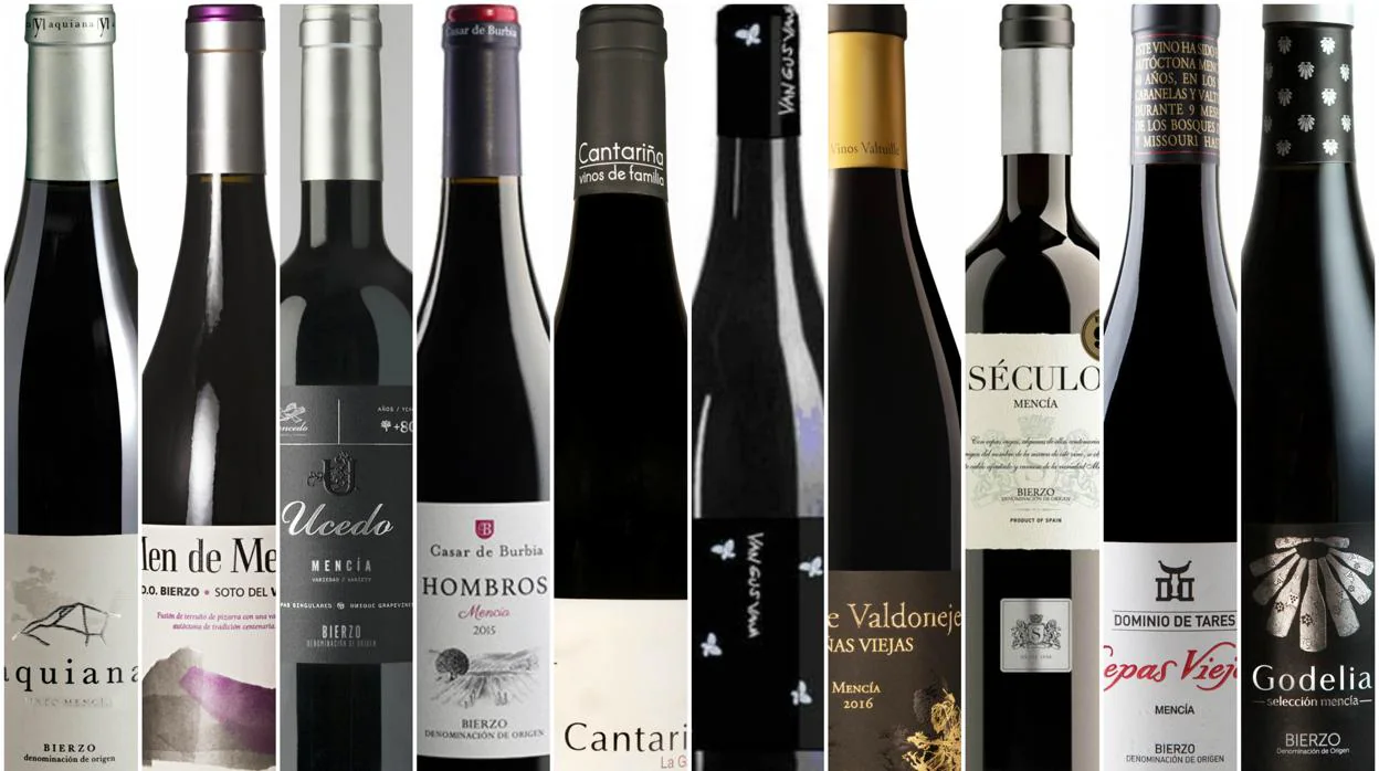 Diez vinos de El Bierzo, con la uva mencía protagonista