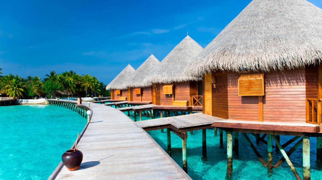 Un hotel de las Maldivas ofrece dos semanas con todos los gastos pagados a cambio de cuidar tortugas