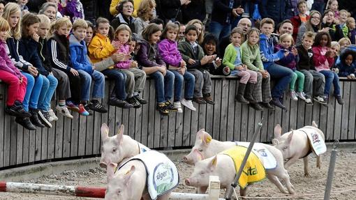 Pourcailhade- Festival del cerdo (Francia)