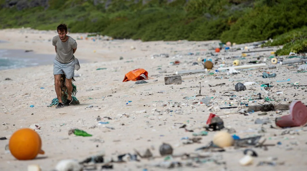 Un miembro del equipo de limpieza de playas recogiendo basura de una playa en la Isla Henderson