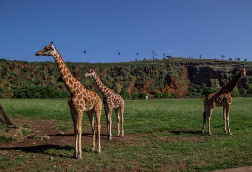 El parque natural de Cabárceno