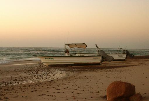 Cabo Pulmo, el paraíso mexicano donde
la riqueza está en sus aguas