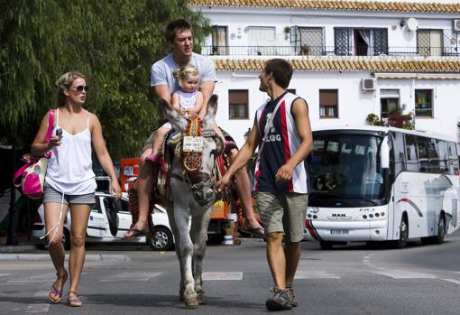 Los burros taxi de Mijas no podrán llevar a personas de más de 80 kilos